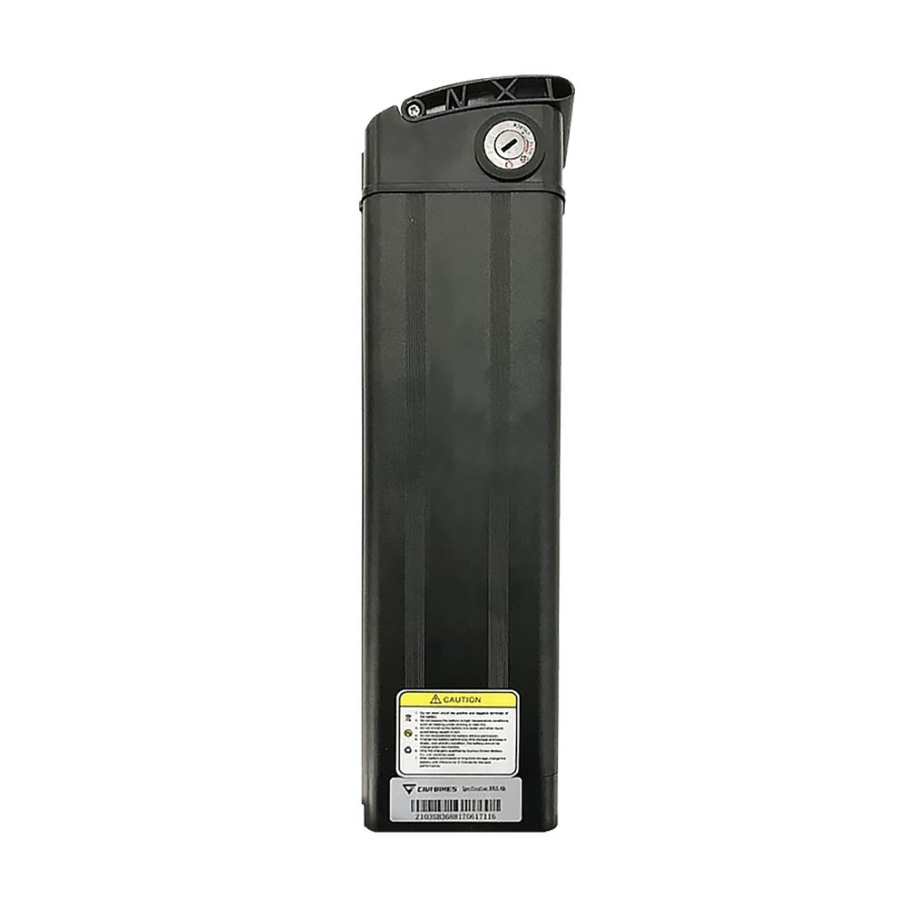 Batterie 48V 21Ah pour Sunny et Wavy