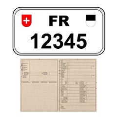 Assistance à l'immatriculation d'un véhicule