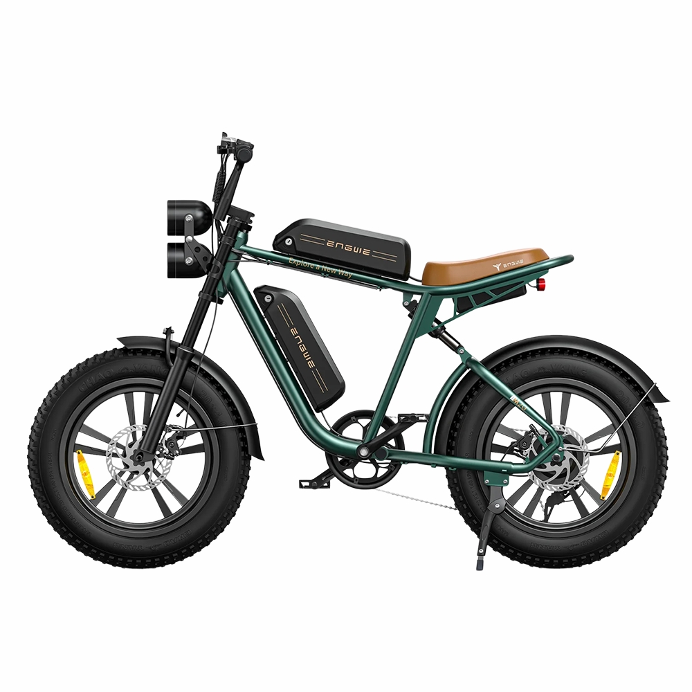 ENGWE M20 2x batteries