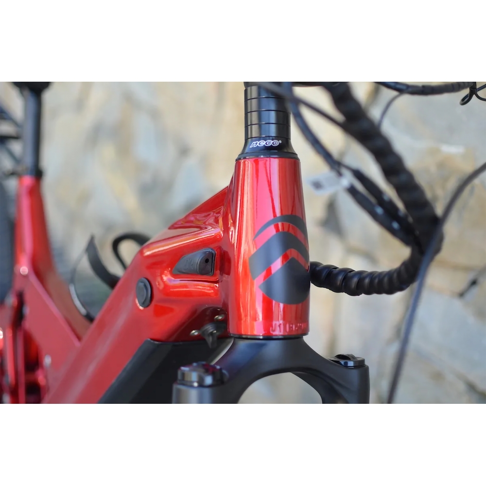 Freybike_rouge_03_web.jpg