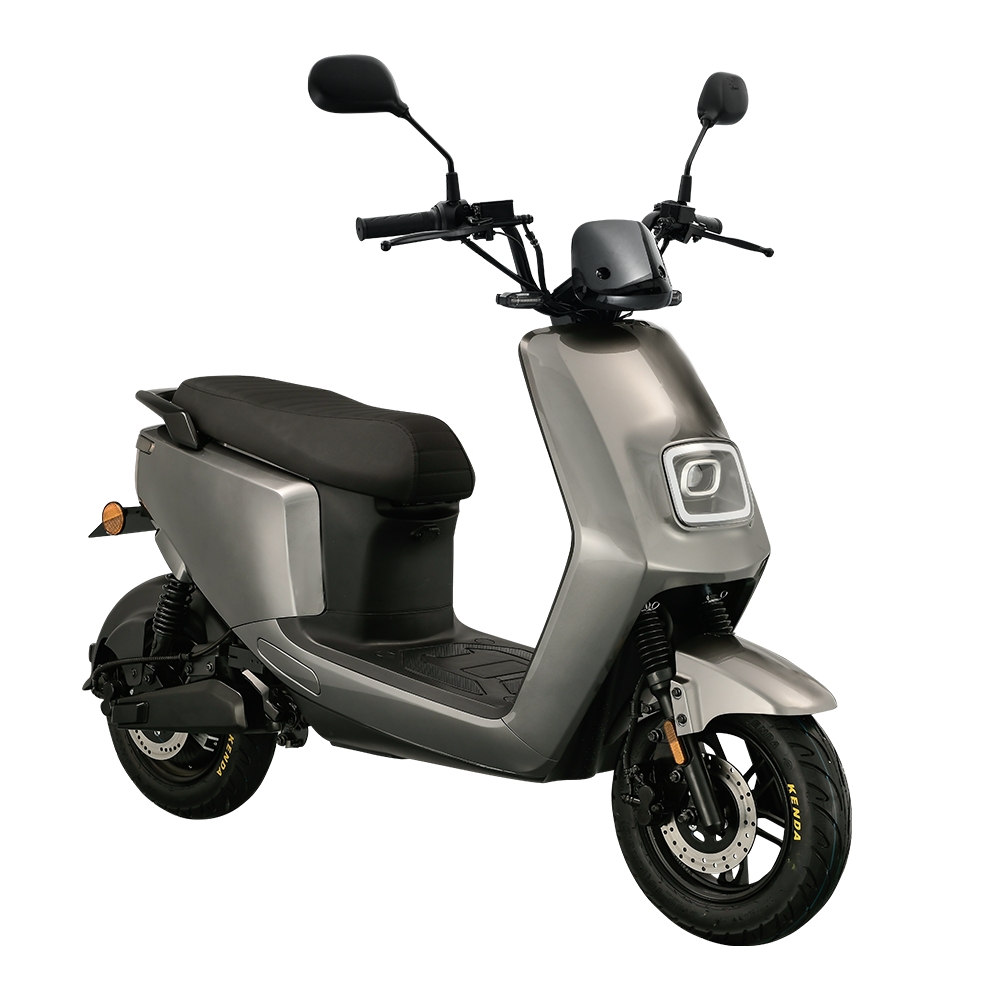 Zippy_gris_03_web.jpg