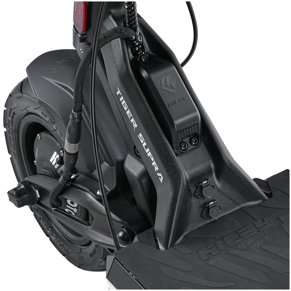Tiger_Supra_12_web.jpg